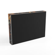 Majestic Lion Photo Block - Stunning Wildlife Decor for Animal Lovers